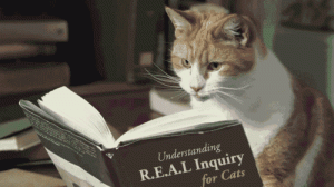 1 Cute Cat Reading a Book (& 9 Questions about the QEP)